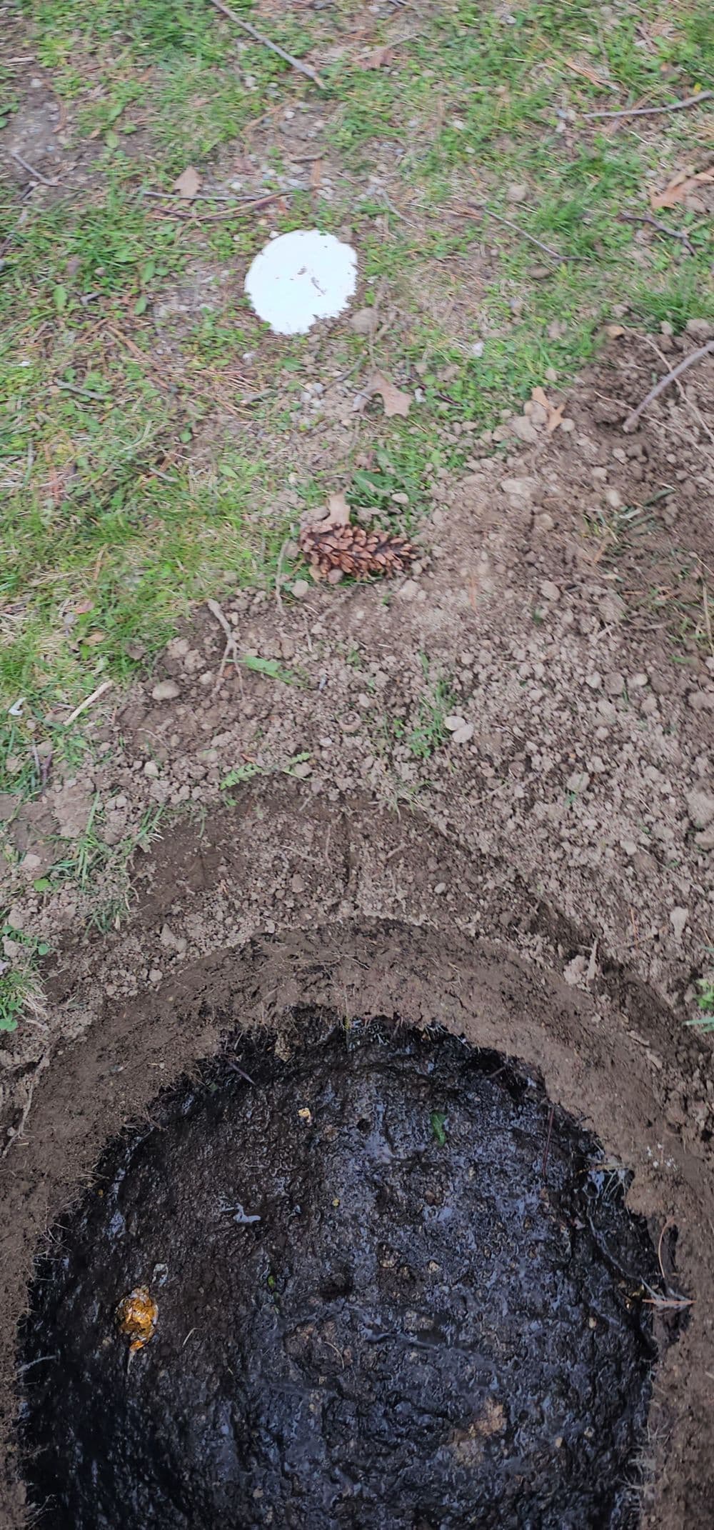 About Septic Pro